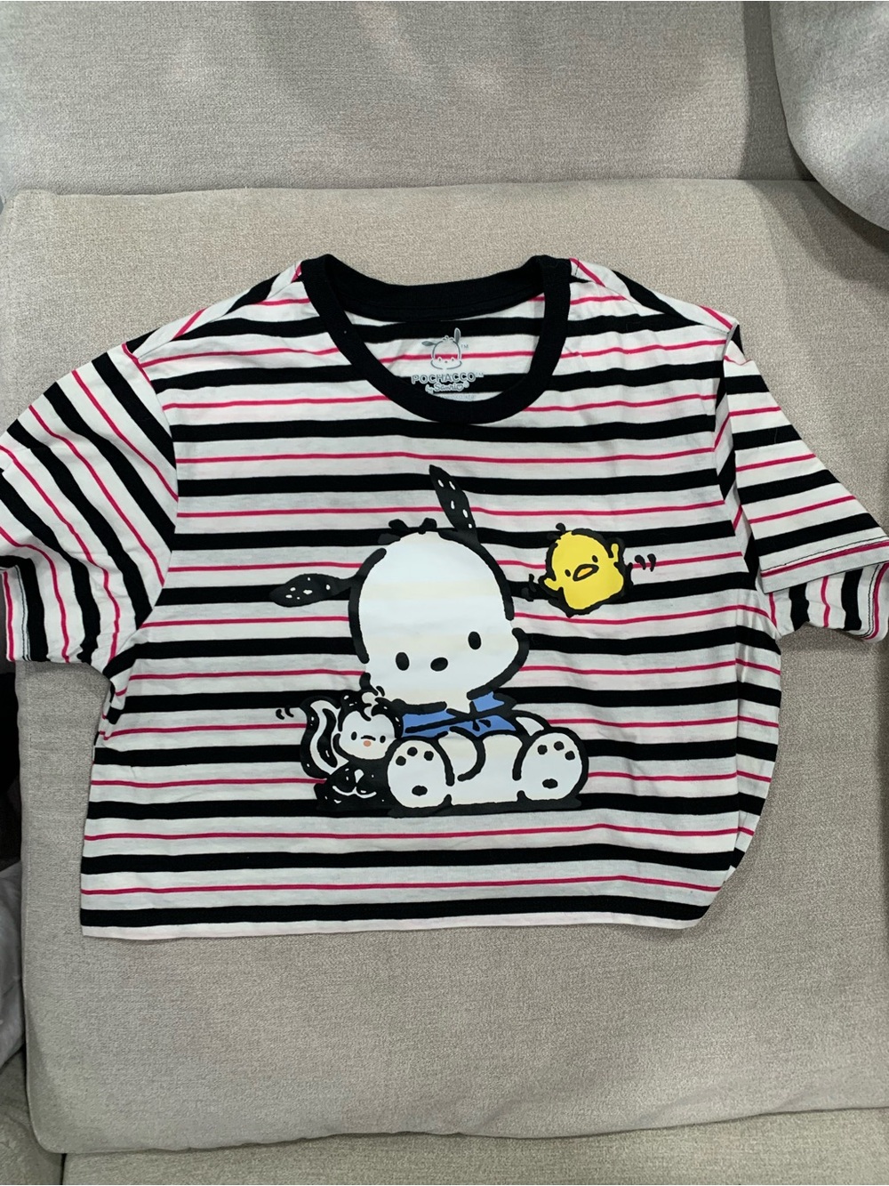 Pochacco Sanrio Cropped Striped T-Shirt